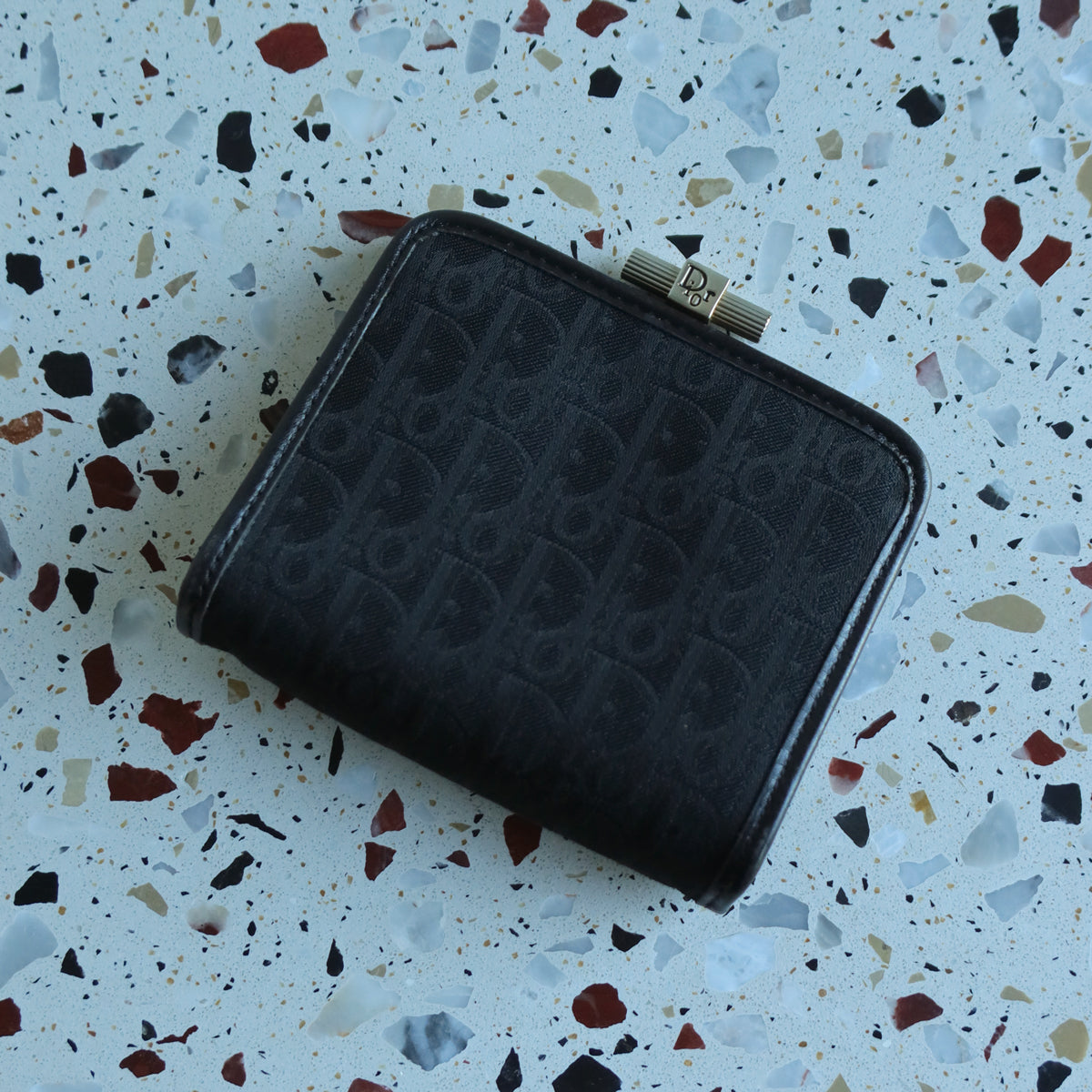 Christian Dior Vintage Trotter Oblique Monogram Daily Small Pouch Case