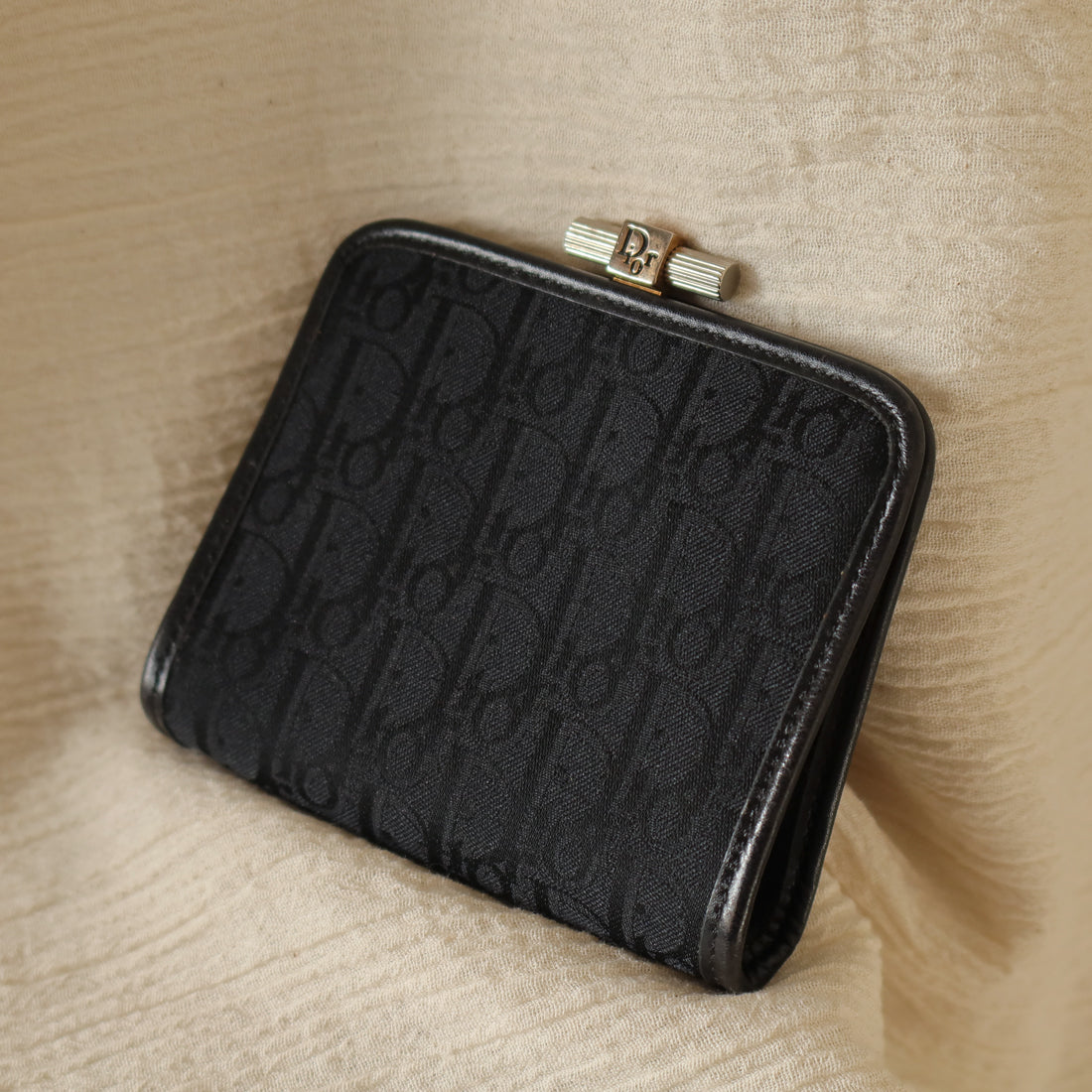 Christian Dior Vintage Trotter Oblique Monogram Daily Small Pouch Case