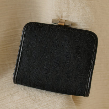 Christian Dior Vintage Trotter Oblique Monogram Daily Small Pouch Case