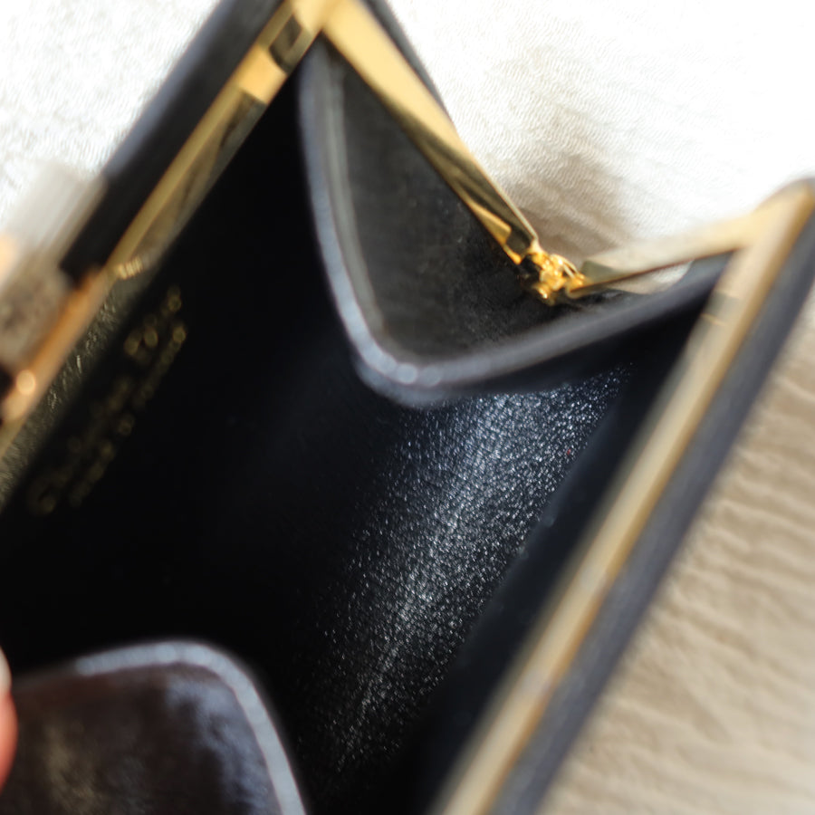 Christian Dior Vintage Trotter Oblique Monogram Daily Small Pouch Case